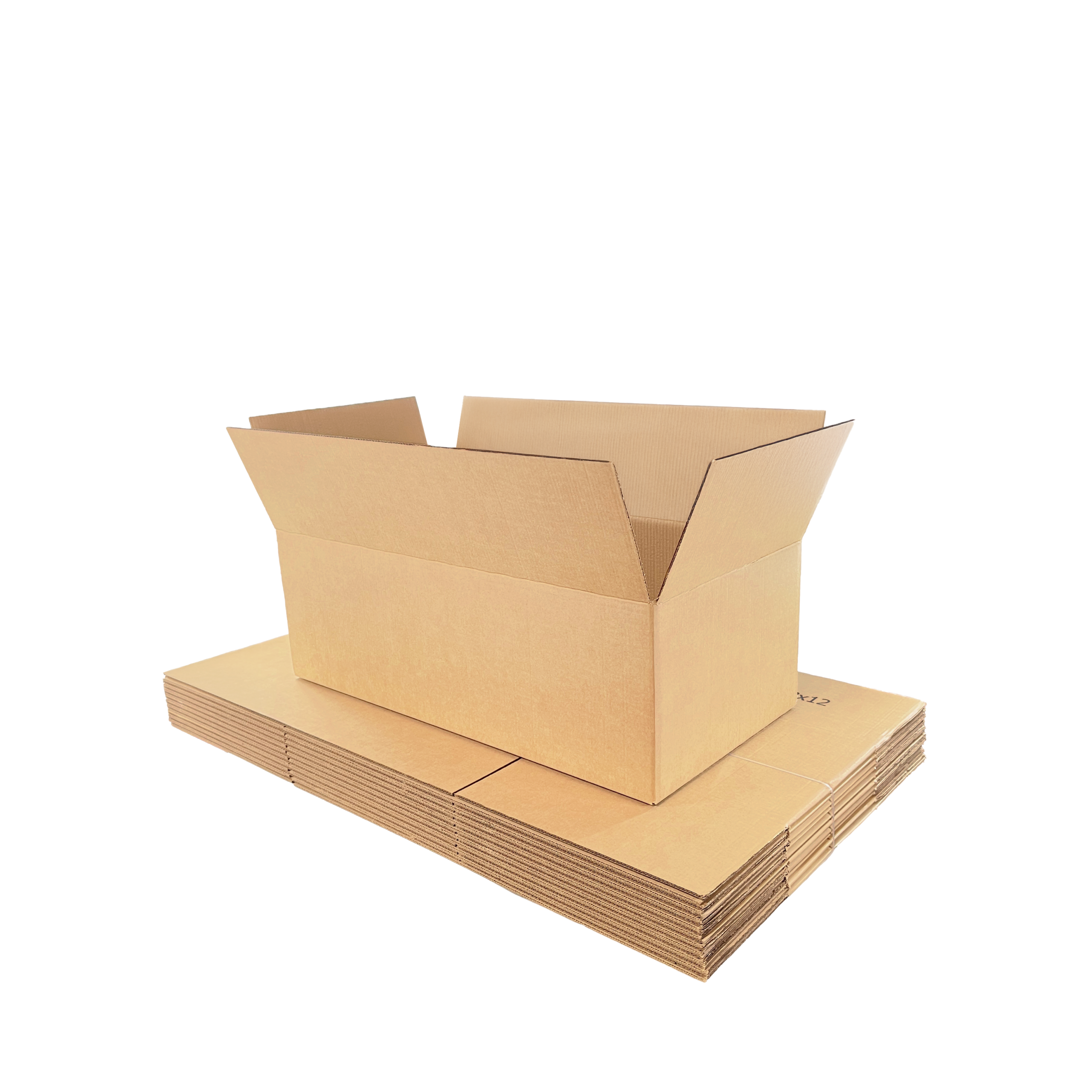 361812-pack